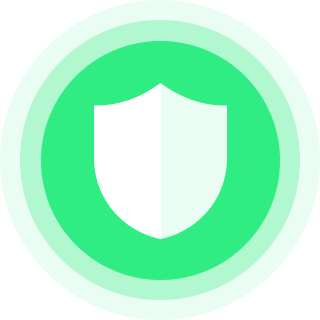 Raptor加速器 隐私安全